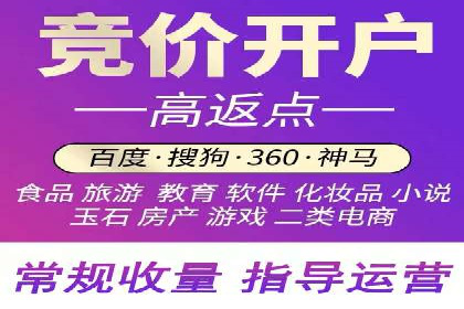 SEM运营公司案例解析：精准广告投放技巧